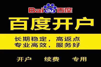 百度广告推广案例费用案例分析